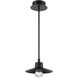 Suspense LED 10 inch Black Outdoor Pendant