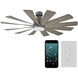 Windflower 60 inch Graphite Weathered Gray with Weathered Gray Blades Downrod Ceiling Fan in 3500K