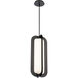 Echelon 1 Light 9 inch Black Pendant Ceiling Light