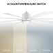 Size Matters 65 inch Matte White Downrod Ceiling Fan