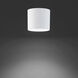 Squat 1 Light 5 inch White Outdoor Flush Mount
