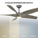 Zephyr 62 inch Graphite and Weathered Wood with Weathered Wood Blades Downrod Ceiling Fan in Graphite Weathered Wood