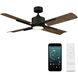Cervantes 56 inch Matte Black Barn Wood with Barn Wood Blades Downrod Ceiling Fan in 2700K