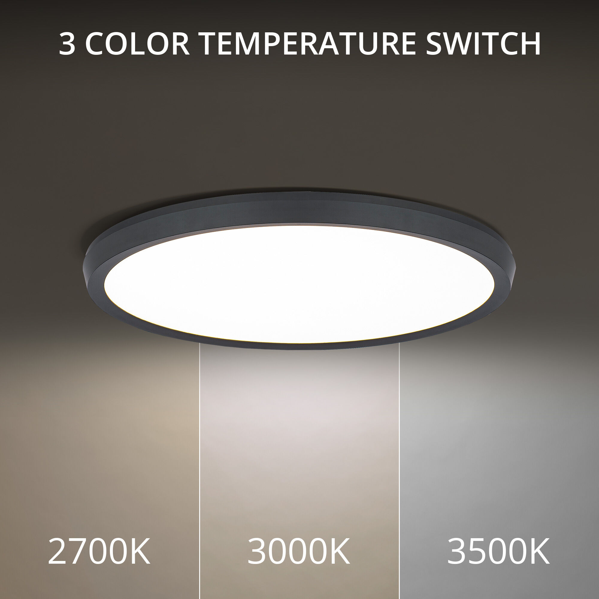 Argo ceiling lights on sale