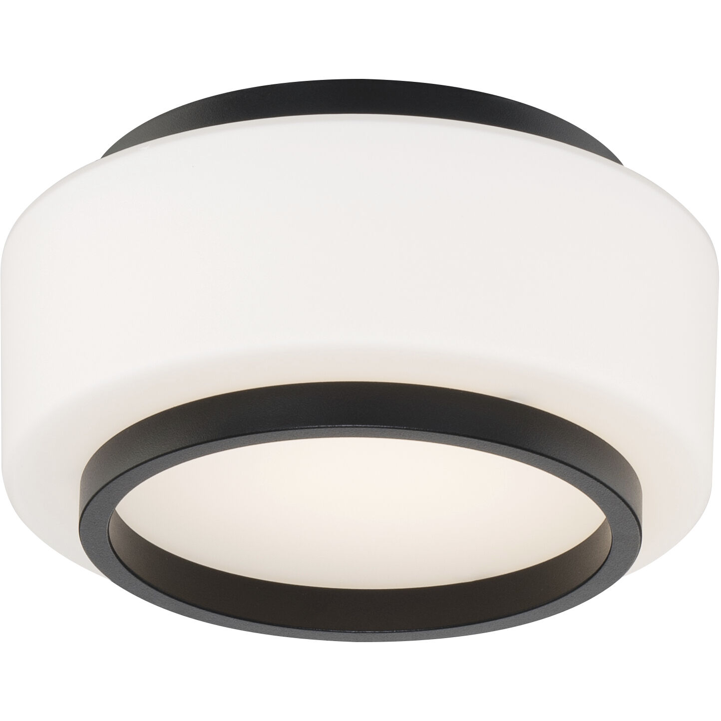 Preston 1 Light 7.80 inch Flush Mount