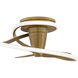 Veloce 28 inch Aged Brass Fandelier
