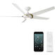 Lucid 62.00 inch Indoor Ceiling Fan