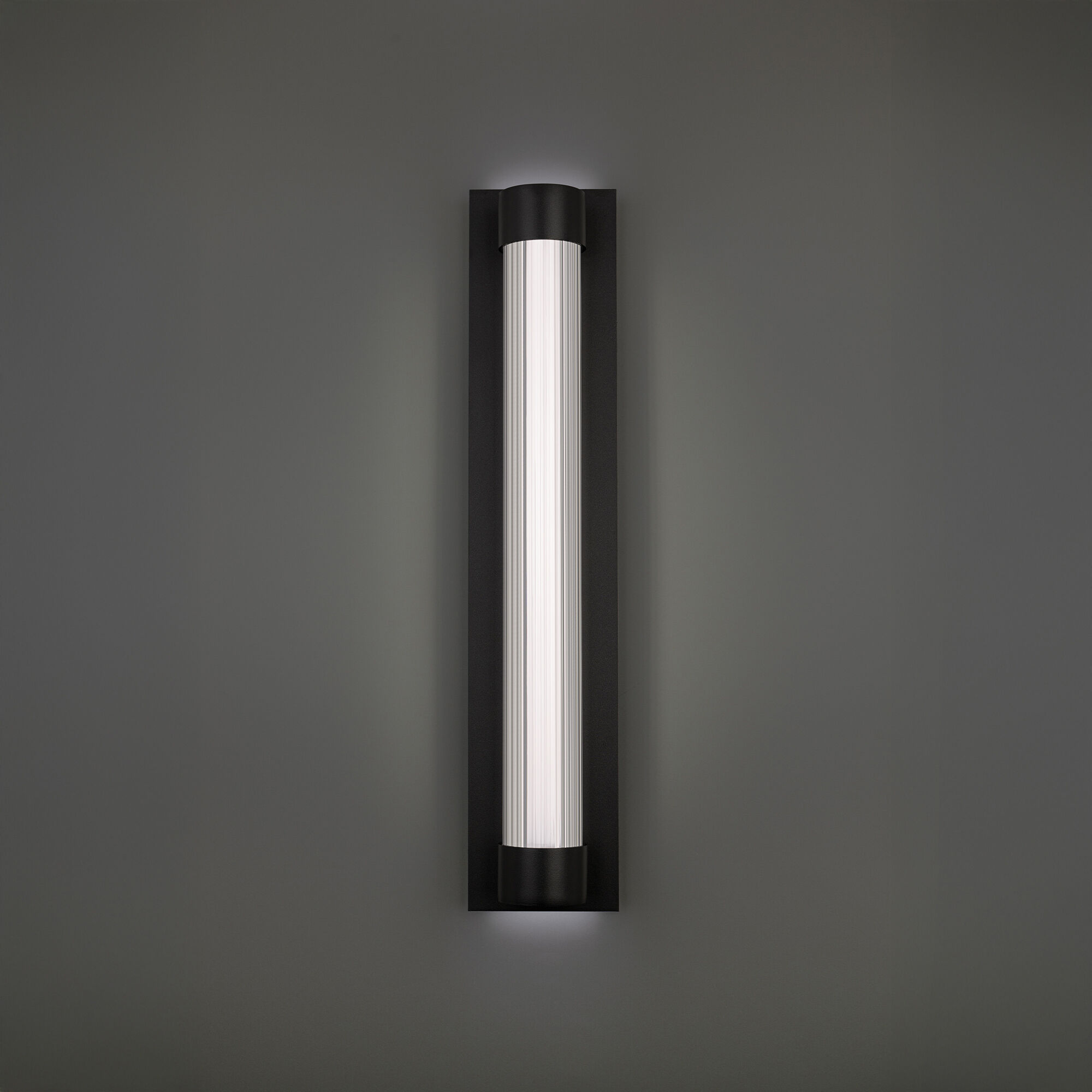 Chyzel LED 26 inch Black Outdoor Wall Lighting in 4000K
