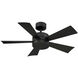 Wynd 42 inch Matte Black Downrod Ceiling Fan in 3500K