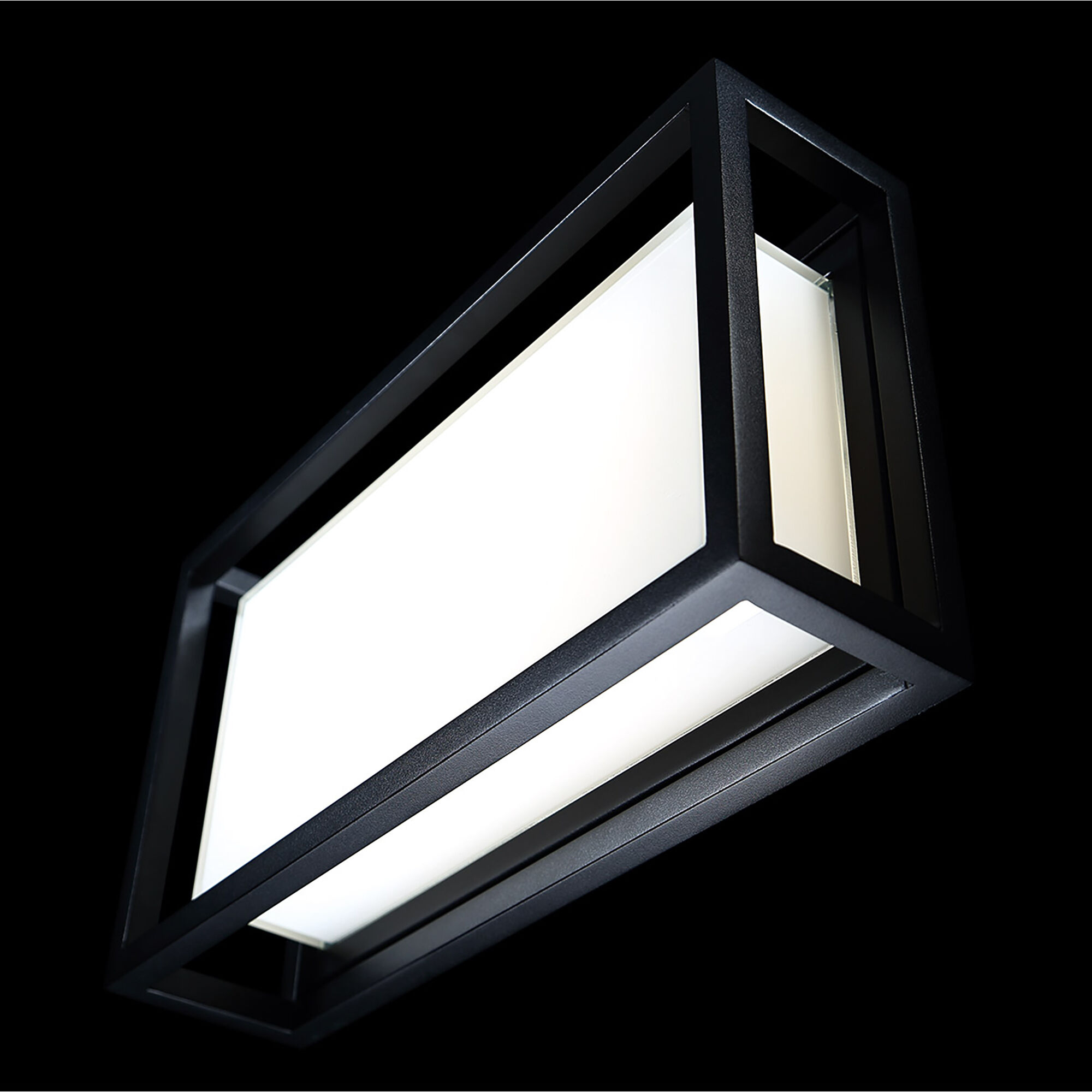 Framed LED 8 inch Black Outdoor Wall Light in 14in.