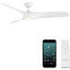 Zephyr 52.00 inch Indoor Ceiling Fan