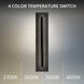 Bell Tower LED 28 inch Basalt Stone and Black Outdoor Wall Light