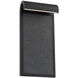 Takonic LED 16 inch Granite Stone and Black Outdoor Wall Light