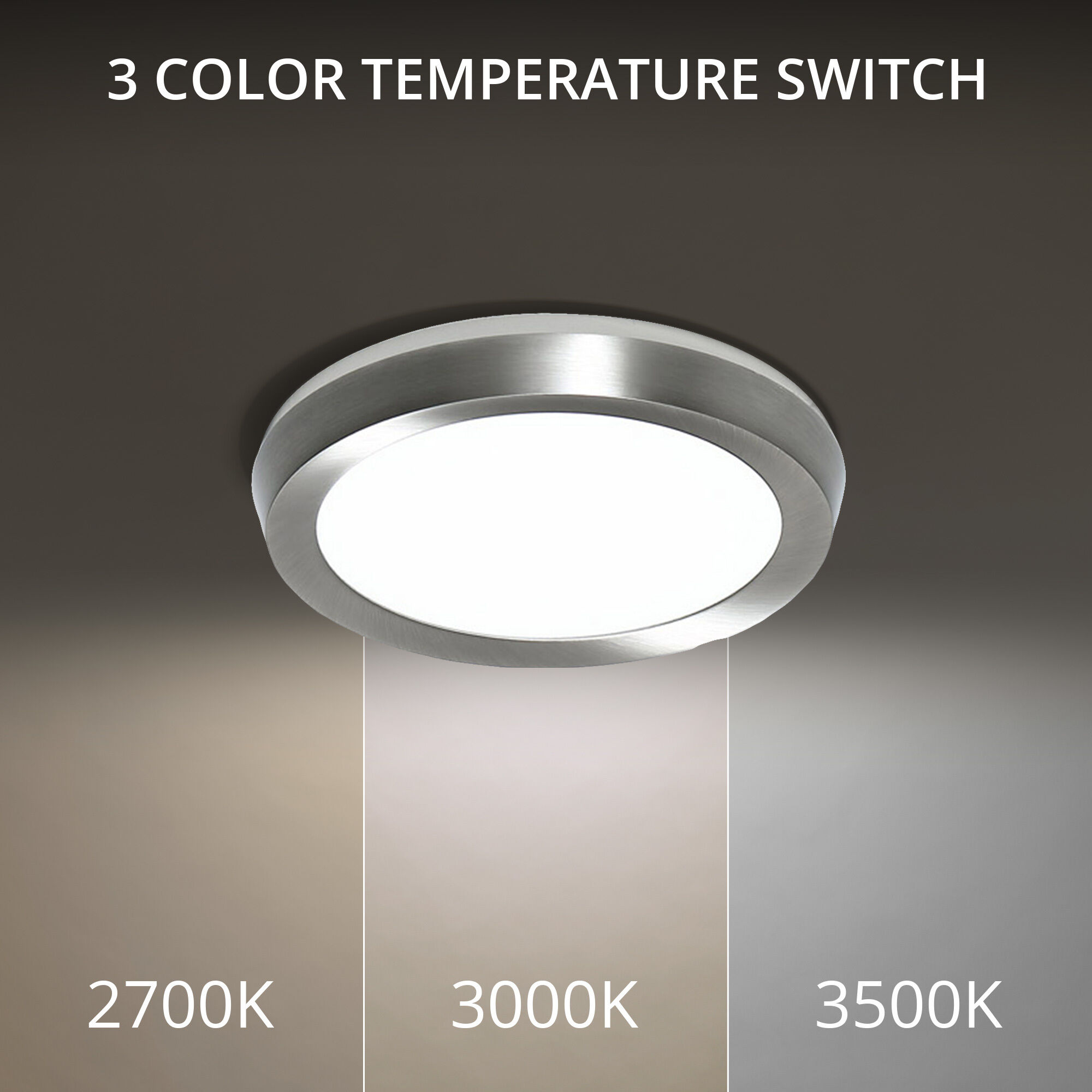 Modern Forms Argo LED Flush Mount in Brushed Nickel