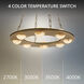 Lorelei LED 28 inch Aged Brass Pendant Ceiling Light