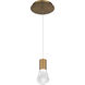 Plum LED 15 inch Aged Brass Mini Pendant Ceiling Light