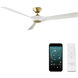 Torque 58 inch Soft Brass and Matte White with Matte White Blades Downrod Ceiling Fan in Soft Brass Matte White