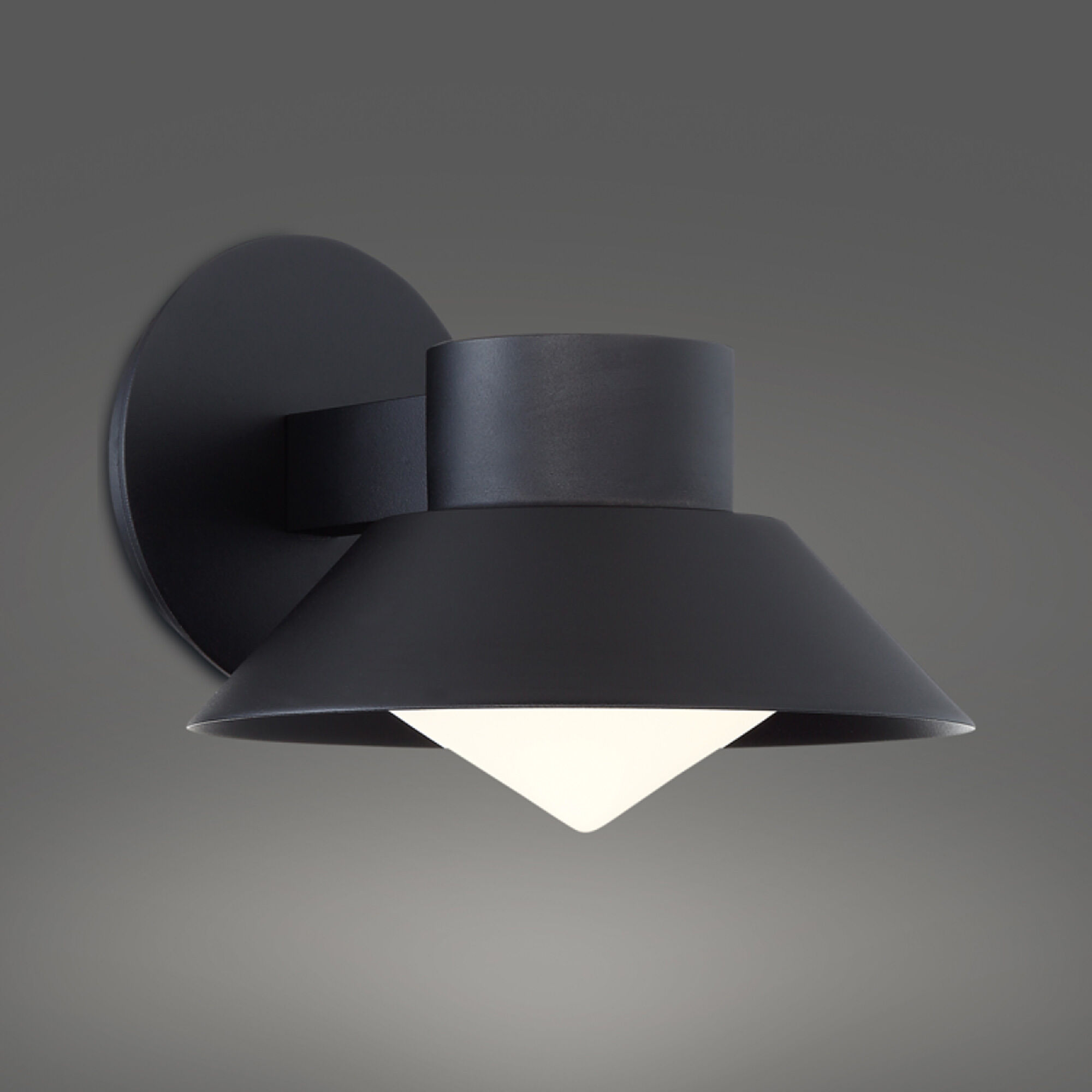 Oslo LED 6.5 inch Black Outdoor Wall Light in 8in.