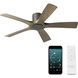 Aviator 54 inch Graphite and Weathered Gray with Weathered Gray Blades Flush Mount Ceiling Fan in Graphite Weathered Gray, Smart Ceiling Fan