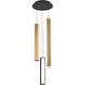 Chaos LED 11.75 inch Black and Aged Brass Multi-Light Pendant Ceiling Light in 3, 12in., Black Aged Brass/Black