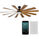 Windflower 80 inch Matte Black and Distressed Koa with Distressed Koa Blades Downrod Ceiling Fan in 2700K, Matte Black Distressed Koa