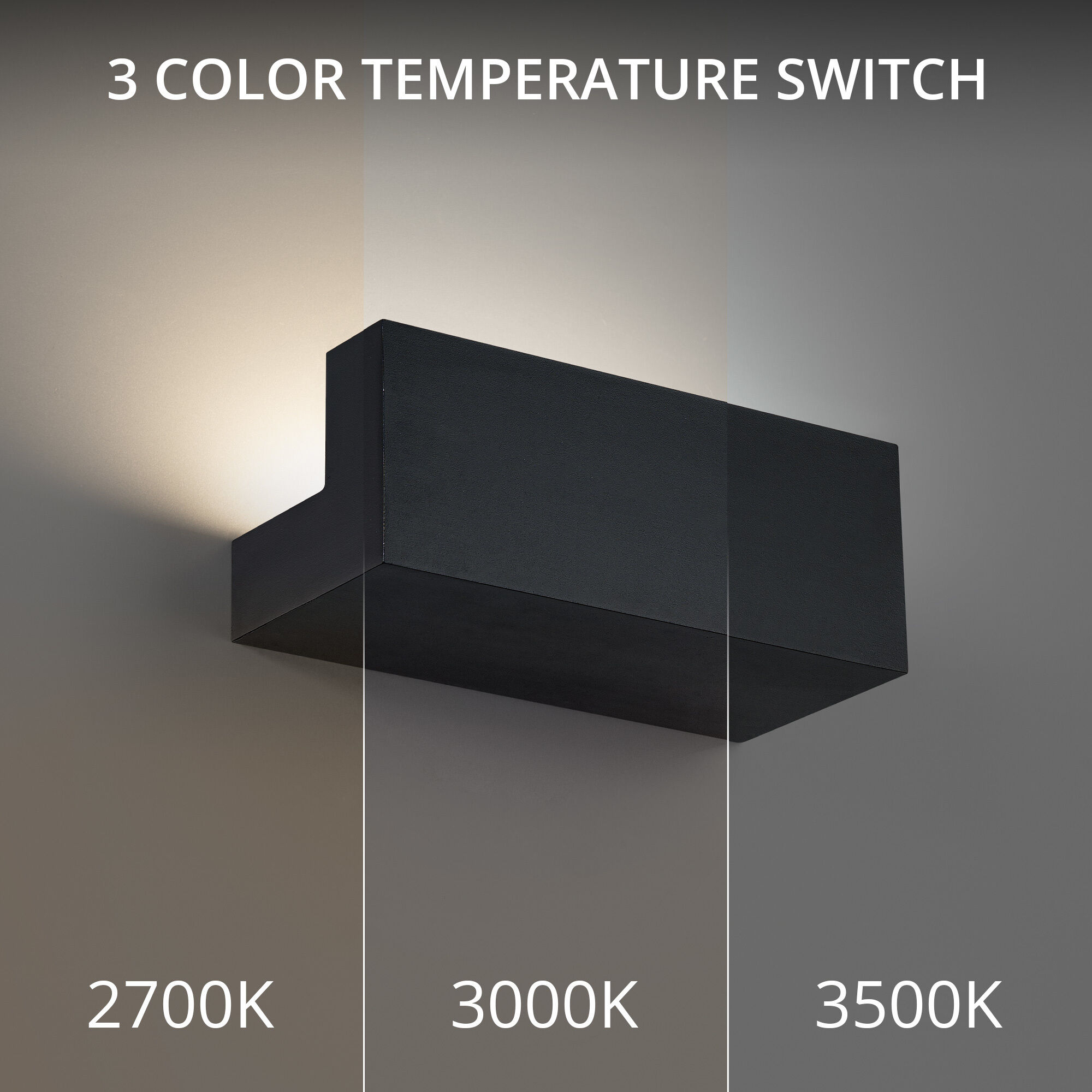 Bantam Wall Sconce Wall Light in 3500K, Black