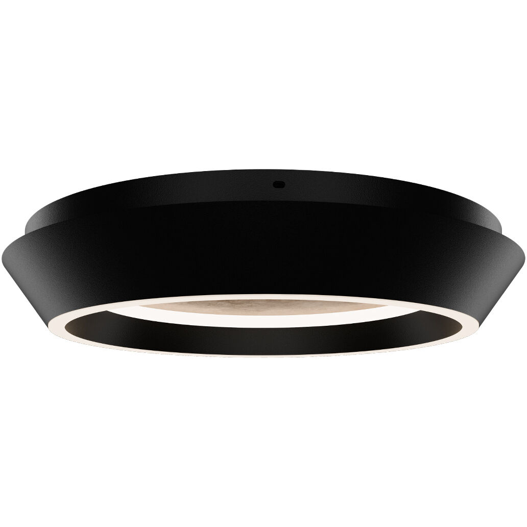 Tinzel LED 18 inch Black Gold Leaf Indoor Ceiling Lighting in 3000K
