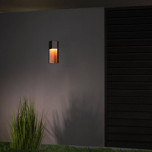 Dusk 1 Light 14 inch Black-Dark Walnut Outdoor Wall Light