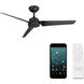 Roboto 52 inch Matte Black Downrod Ceiling Fan, Smart Ceiling Fan