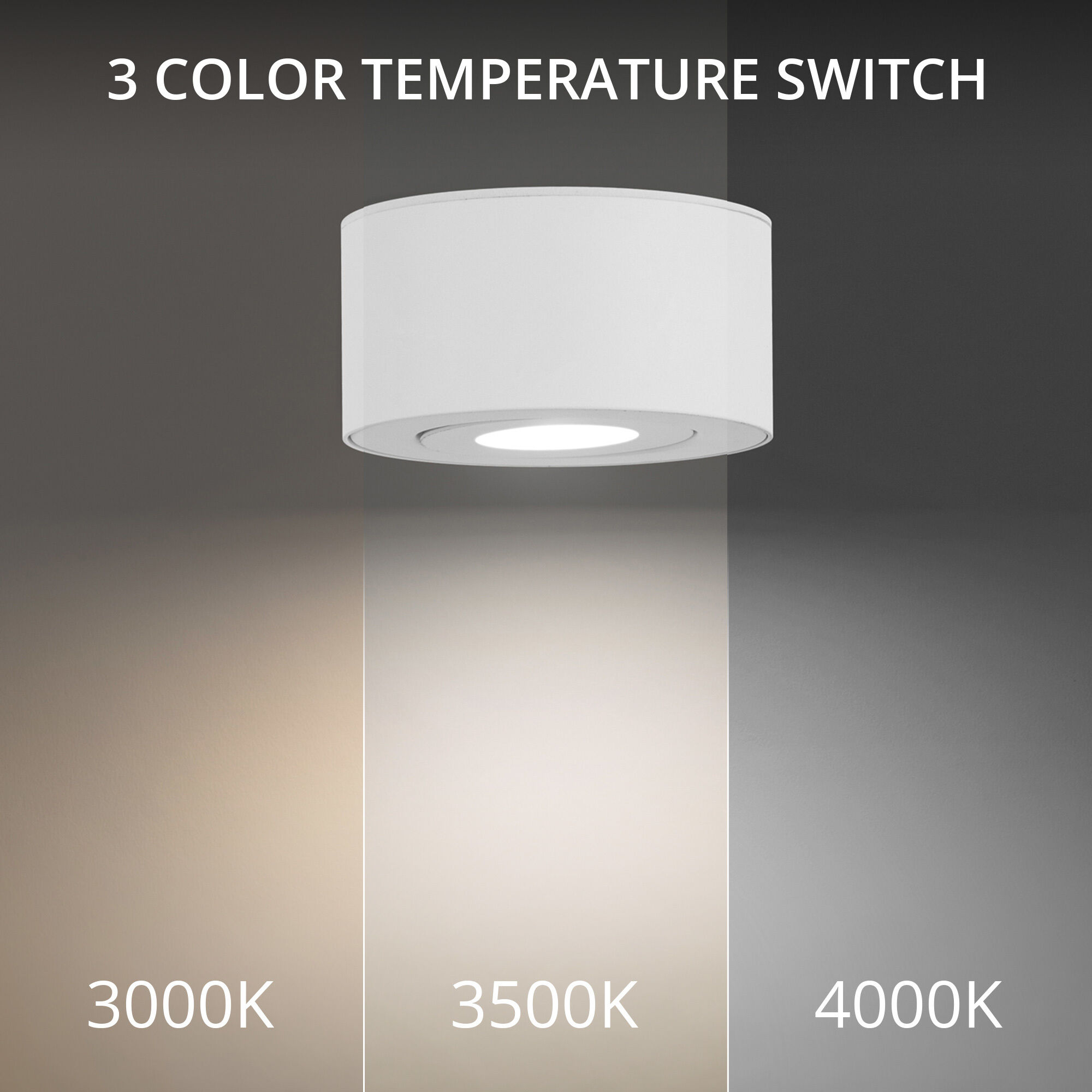 I Spy 1 Light 5 inch White Outdoor Flush Mount in 4000K