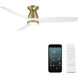 Skylark 54.00 inch Indoor Ceiling Fan