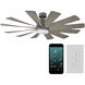 Windflower 60 inch Graphite and Weathered Gray with Weathered Gray Blades Downrod Ceiling Fan in 2700K, Graphite Weathered Gray
