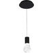 Plum LED 15 inch Black Mini Pendant Ceiling Light