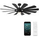Wyndmill 65 inch Matte Black Downrod Ceiling Fan in 3000K