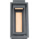 Dorne LED 14 inch Black Aged Brass Outdoor Wall Light in 14in.