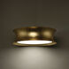 Tango LED 20 inch Gold Leaf Chandelier Ceiling Light