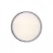 Pi 1 Light 12 inch Stainless Steel Flush Mount Ceiling Light 