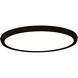 Argo 1 Light 15 inch Black Flush Mount Ceiling Light