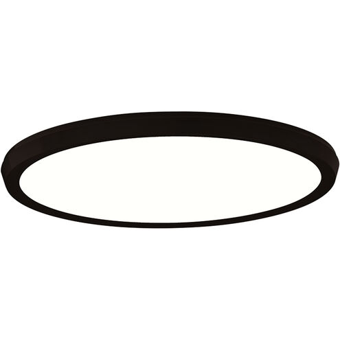 Argo 1 Light 15 inch Black Flush Mount Ceiling Light