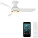 Corona 44.00 inch Indoor Ceiling Fan