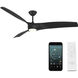 Zephyr 72 inch Matte Black Downrod Ceiling Fan