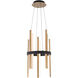 Harmonix LED 14 inch Black and Aged Brass Chandelier Ceiling Light in 14in.