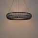 Lute LED 28 inch Black Indoor Hanging Lighting Ceiling Light in 4000K