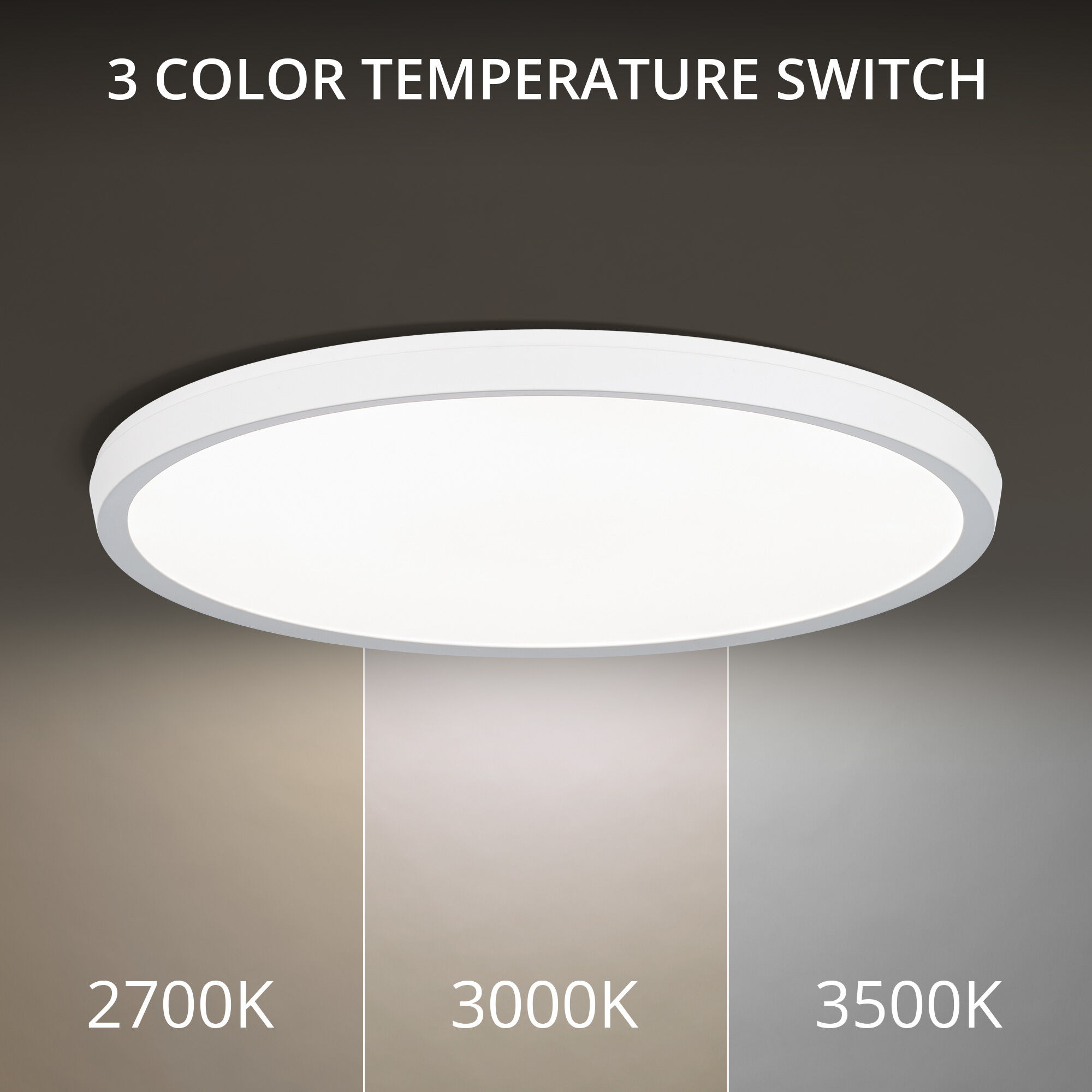 19 inch flush store mount ceiling light