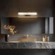 Lanza LED 20 inch Black Bath Vanity & Wall Light