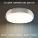 Zenith LED 15 inch Titanium Flush Mount Ceiling Light in 2700K, Does not have EM Backup Battery