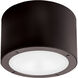 Vessel LED 6 inch Bronze Flush Mount Ceiling Light in 4000K