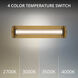 Iconix LED 20 inch Aged Brass Bath Vanity & Wall Light