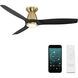 Skylark 54 inch Soft Brass and Matte Black with Matte Black Blades Flush Mount Ceiling Fan in Soft Brass Matte Black