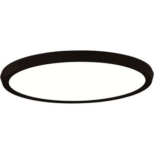 Argo LED 15 inch Black Flush Mount Ceiling Light